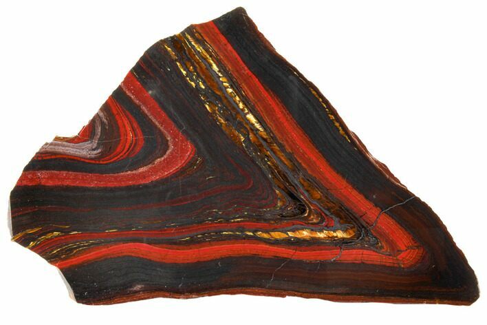 Polished Tiger Iron Stromatolite - Billion Years #129433